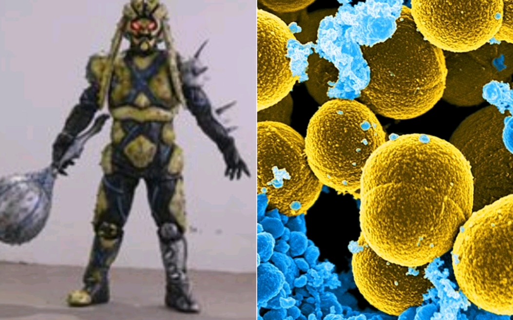 细菌异能兽的原型