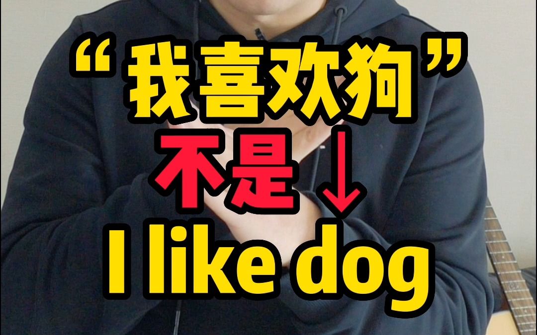 “我喜欢狗”英文不是“I like dog”,一条规则搞定80%的语法错题.哔哩哔哩bilibili