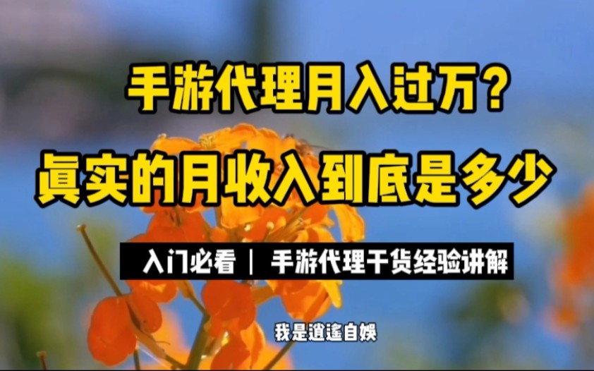 入门必看丨手游代理月入百万?真实的收入到底是是多少哔哩哔哩bilibili