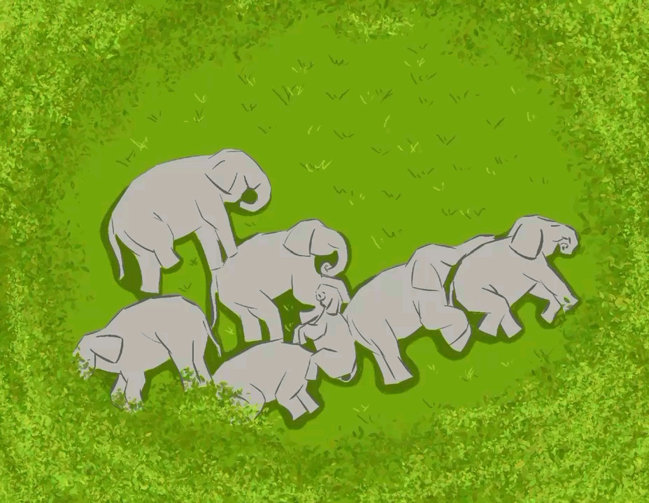 手绘睡觉的大象