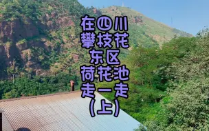 Download Video: 在四川攀枝花东区荷花池走一走（上）