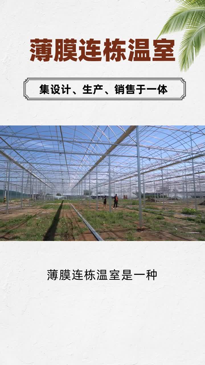 广东薄膜连栋温室公司 湖北薄膜连栋温室订造哔哩哔哩bilibili