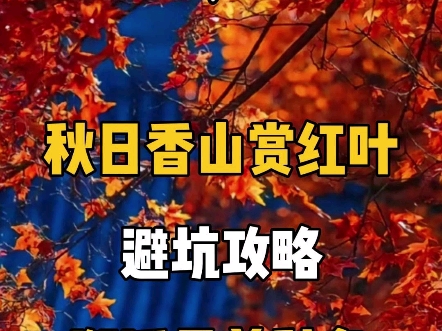 北京这一座历经千年沧桑的古都,它不但传承着中国漫长岁月里的历史精华,还在现代社会中占据着重要的地位五天四晚的时光虽说不是很长但足够让你感受...