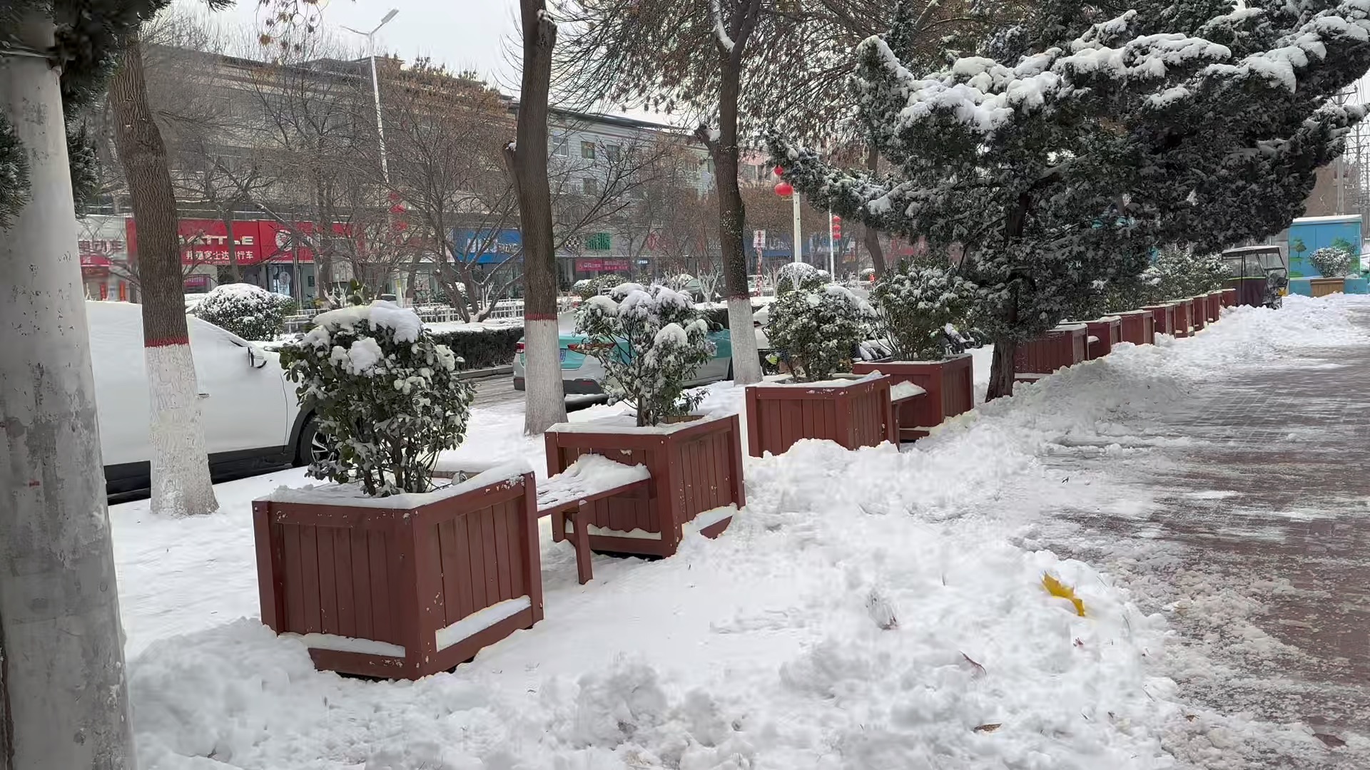 下雪的照片城市图片