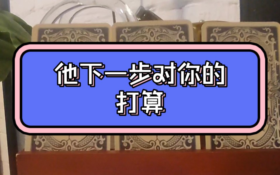 他下一步对你的打算