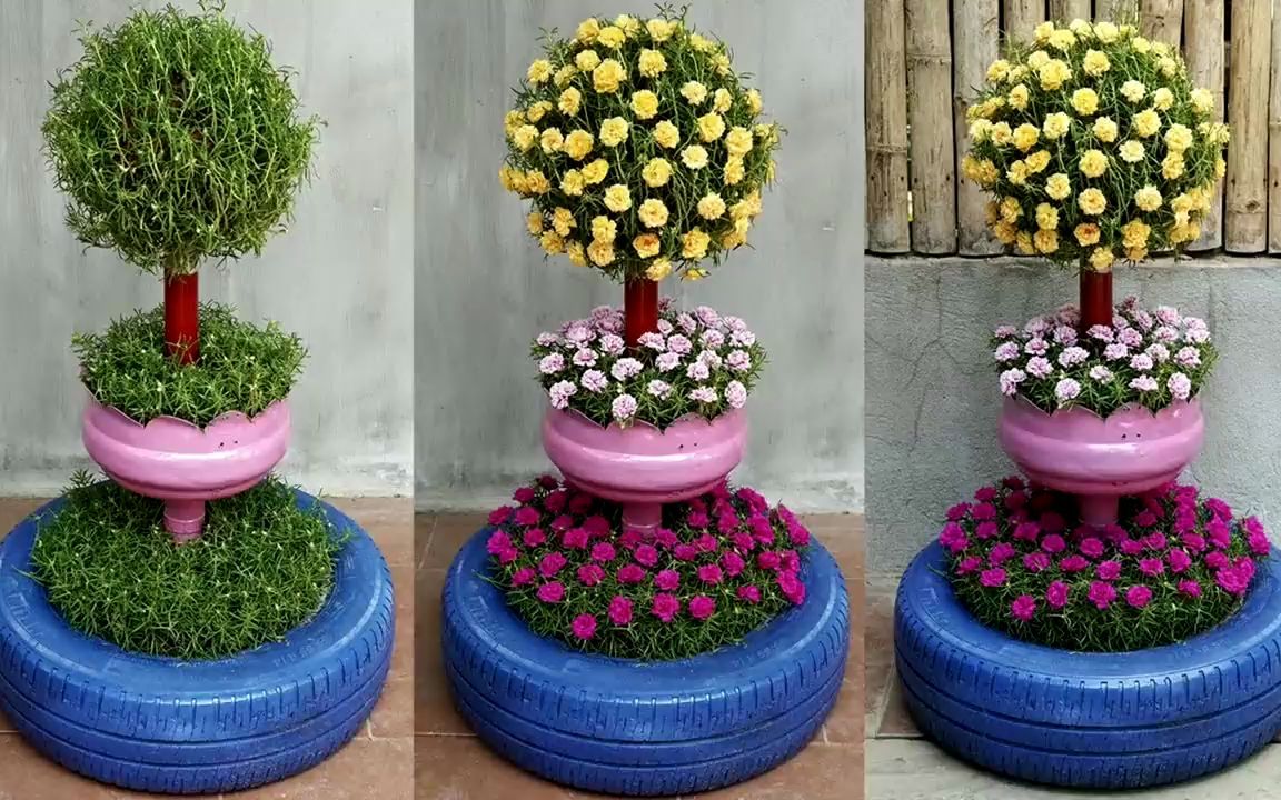 种植小技巧 #重瓣太阳花 #创意 给隔壁小姐姐打造的太阳花造型