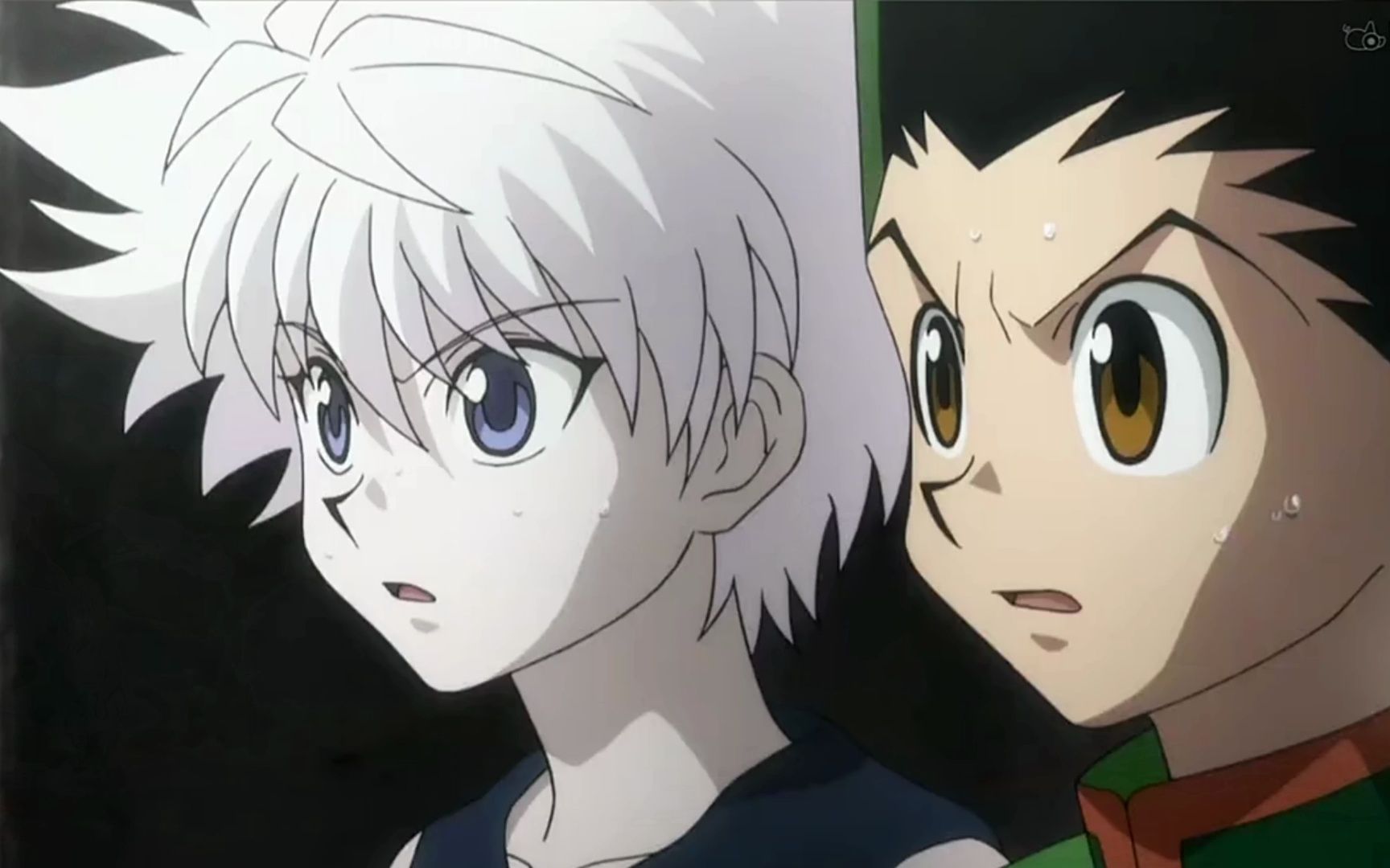 小杰和奇犽被幻影旅团抓了