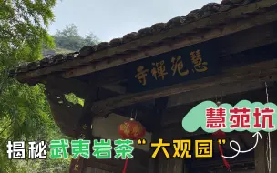 Download Video: 走进武夷岩茶的“大观园”，去窥一窥慧苑坑，它究竟藏了哪些宝贝