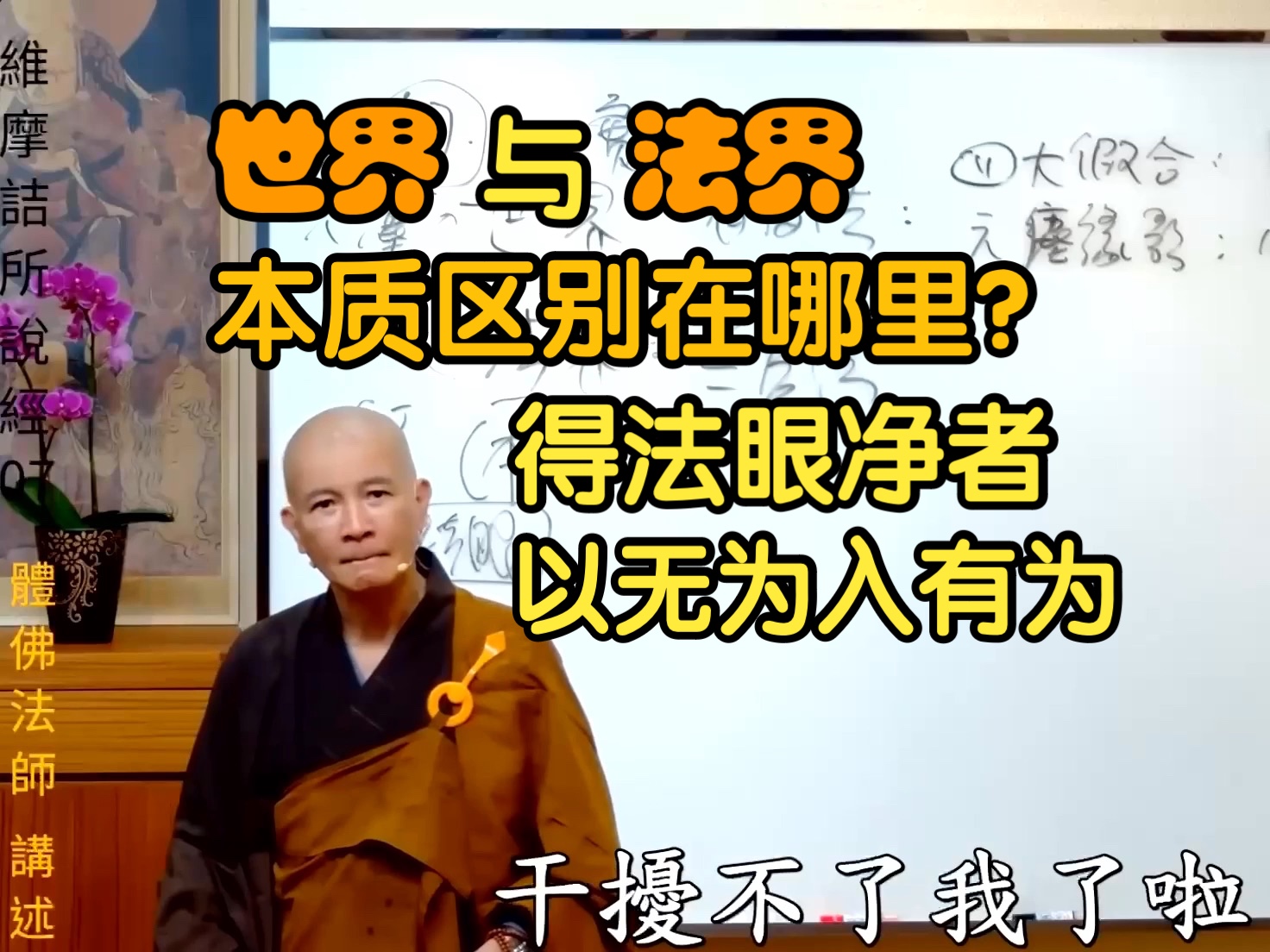 体佛法师开示:世界与法界的本质区别在哪里?哔哩哔哩bilibili