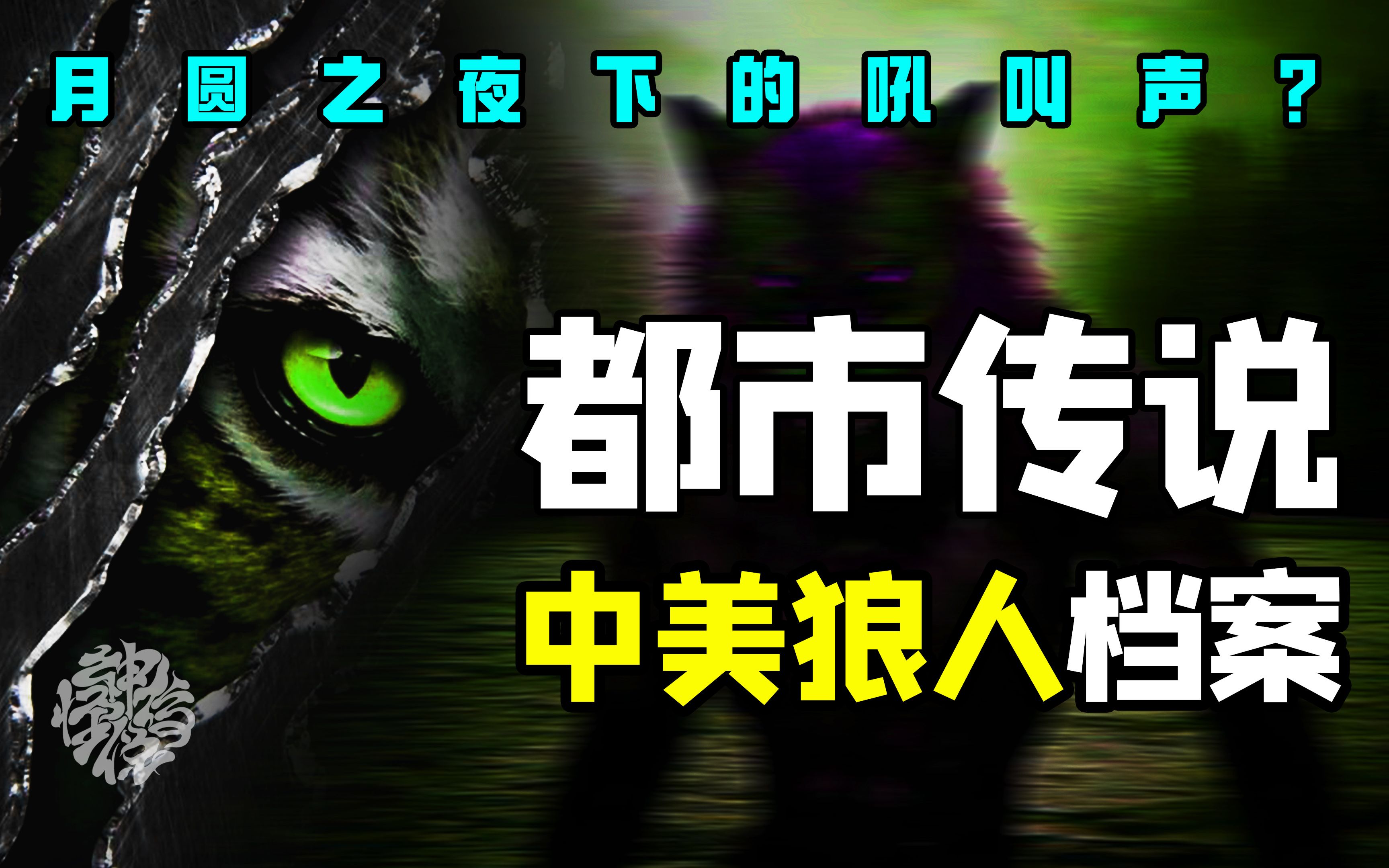 美国动物园曾拍到了狼人照片?狼人是确切存在的生物还是活在传说当中?哔哩哔哩bilibili