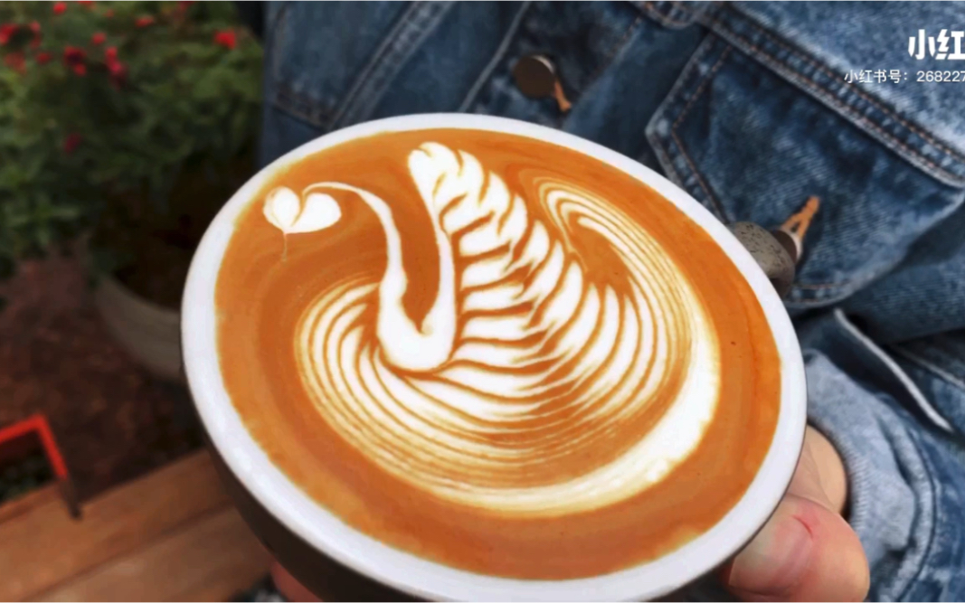 咖啡拉花天鹅图案图片