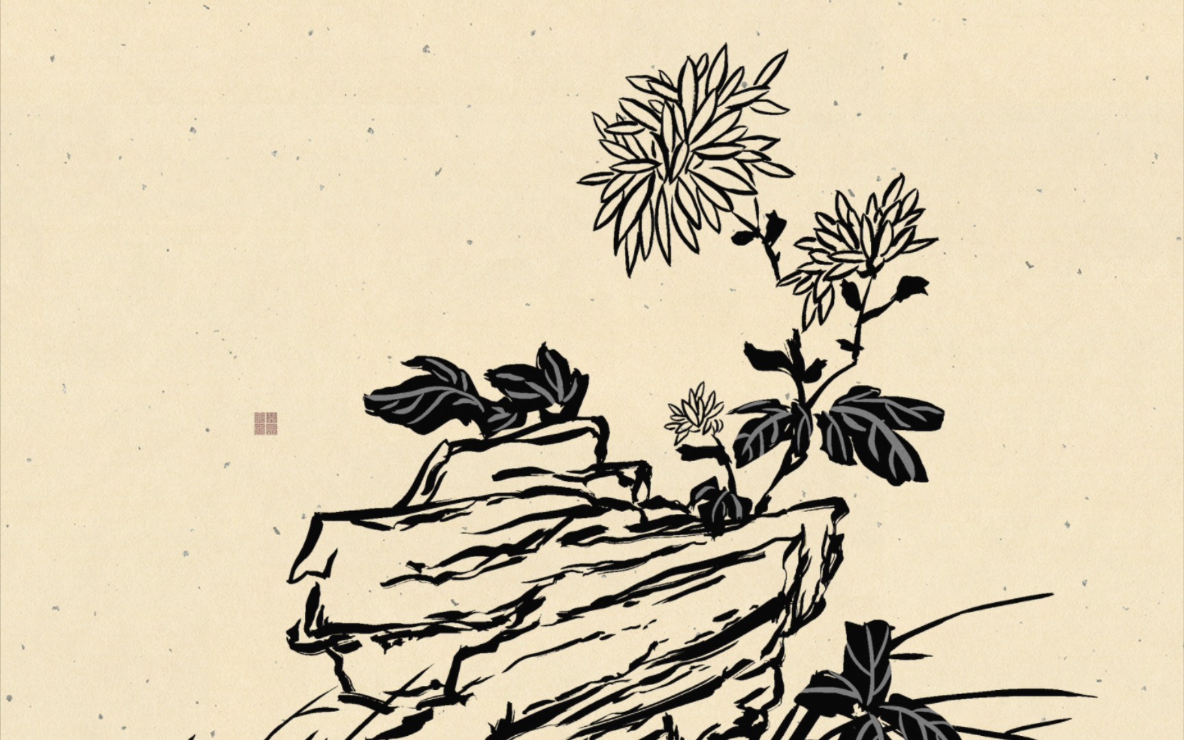 【板绘】临摹芥子园 菊谱