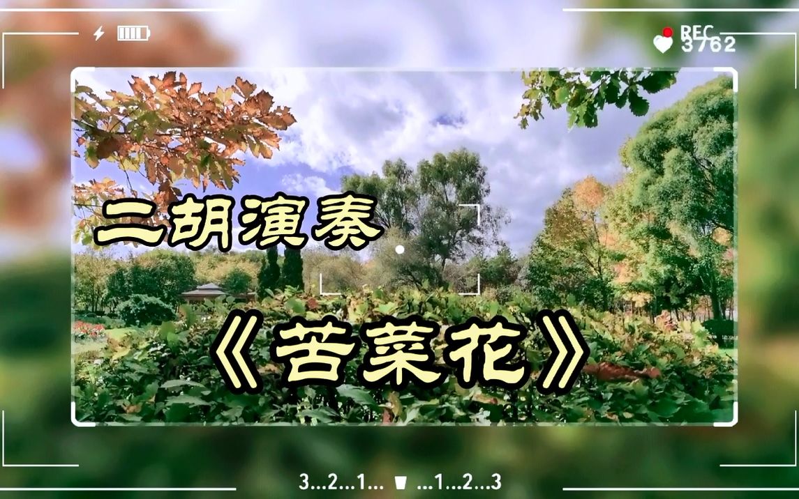 二胡独奏《苦菜花》哔哩哔哩bilibili