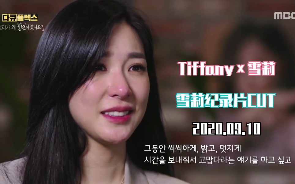 [图]【Tiffany×雪莉】[中字] 200910 雪莉的个人纪录片 Tiffany完整CUT