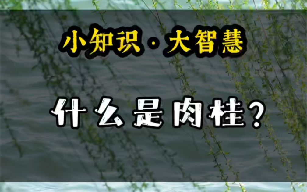 【小知识𐟍ƒ大智慧】什么是肉桂?肉桂是什么什么茶?肉桂有什么特点?#茶知识#茶文化#肉桂#武夷岩茶#乌龙茶哔哩哔哩bilibili