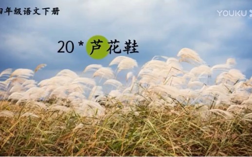 20 芦花鞋哔哩哔哩bilibili