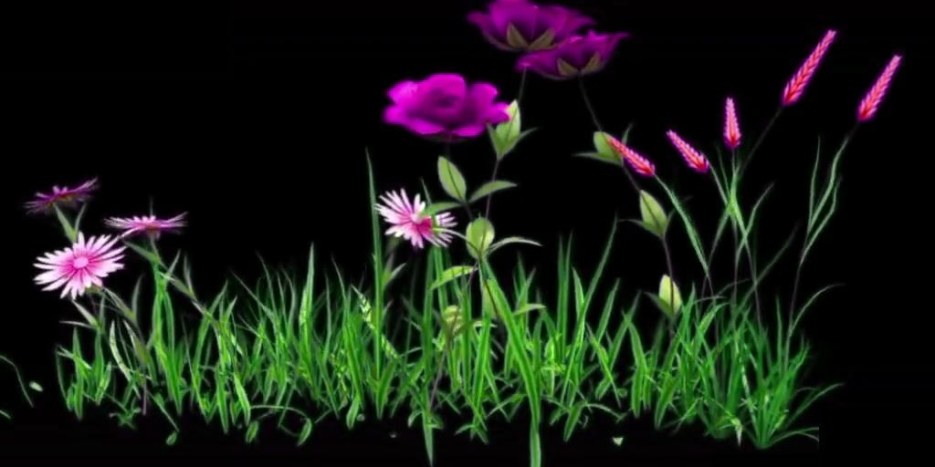 3d风扇三维动画3d动画全息投影仪led屏专用素材——花1