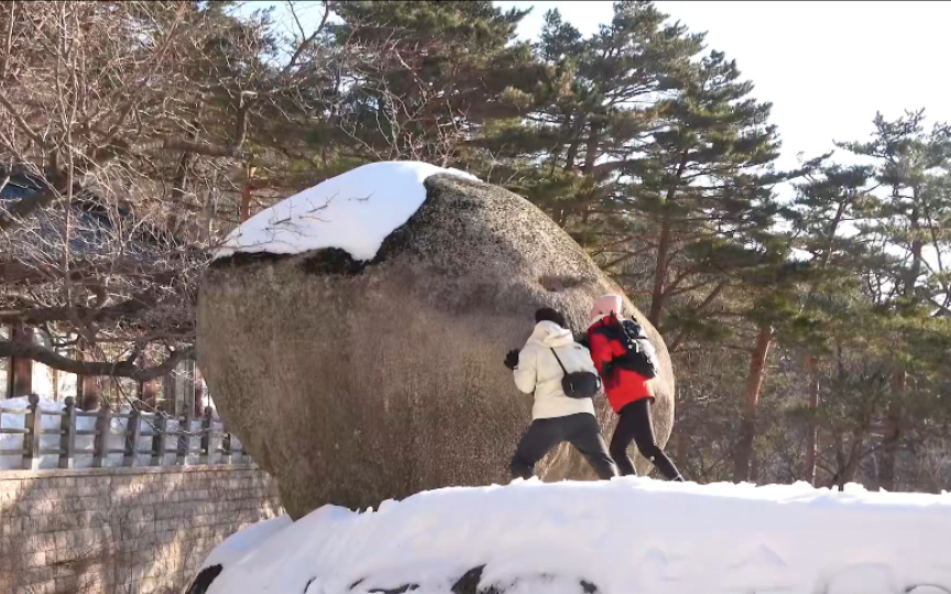 新年还是熟悉的配方|与大傻二傻登顶雪岳山蔚山岩|韩惠珍4哔哩哔哩bilibili