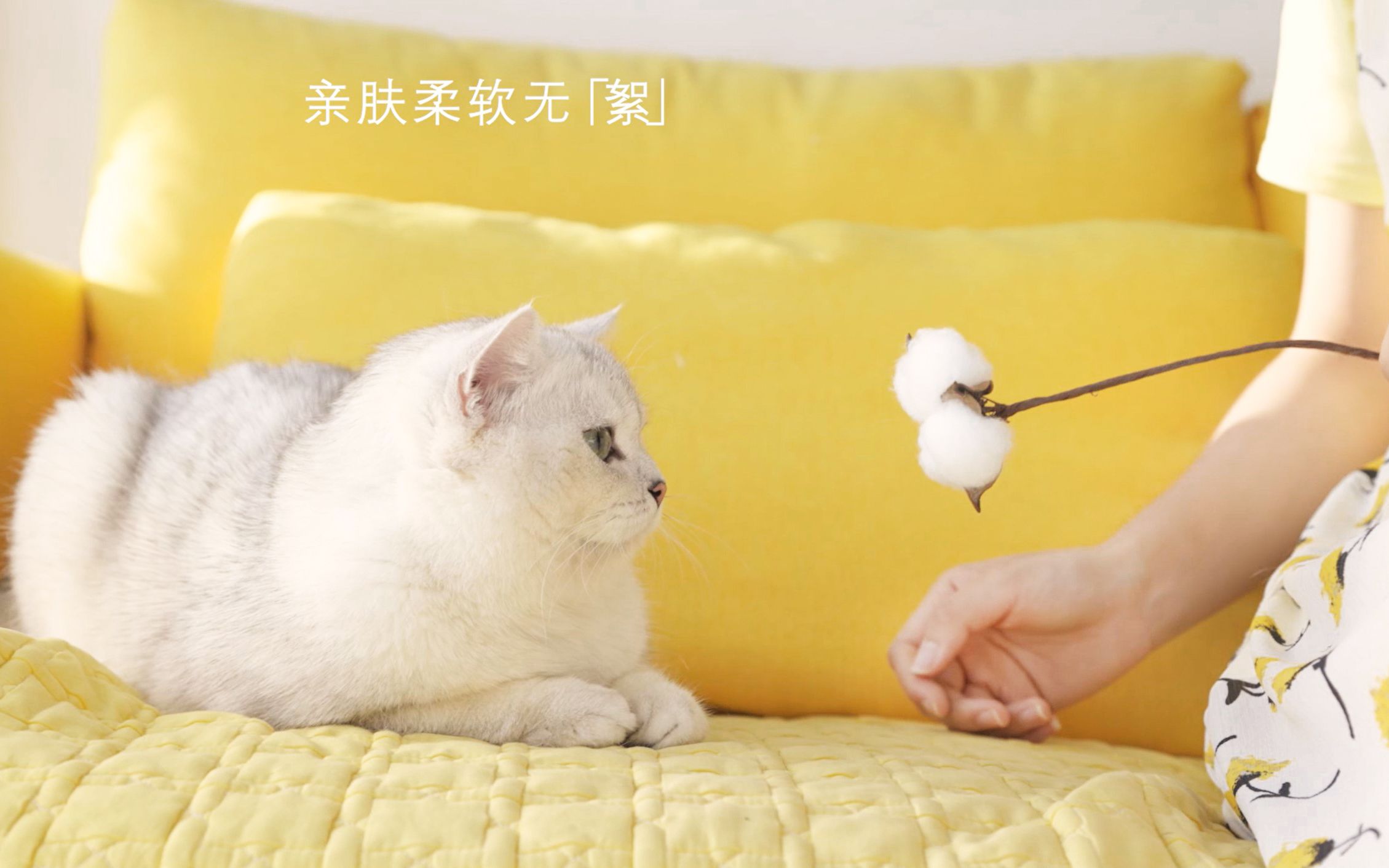 【大广赛】第十三届大广赛奥美生活洗脸巾参赛作品|《美丽,触手可及》