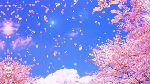 樱花纷飞的时候,你会答应我吧?