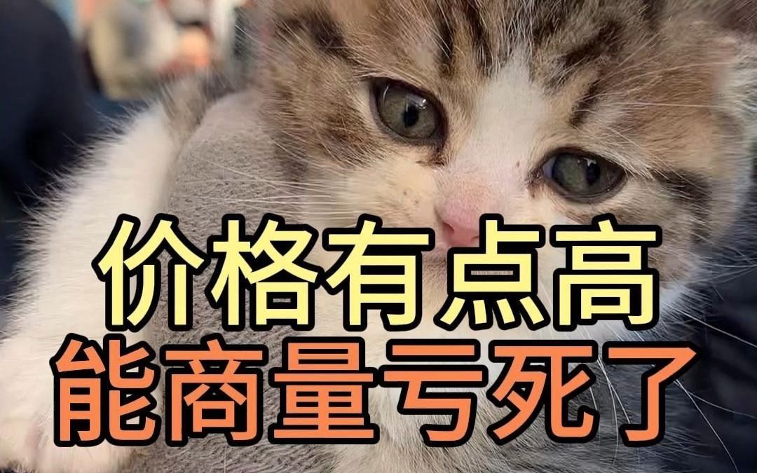 价格有点高 能商量亏死了