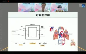 Download Video: 夏金根  呼吸治疗生理基础划重点