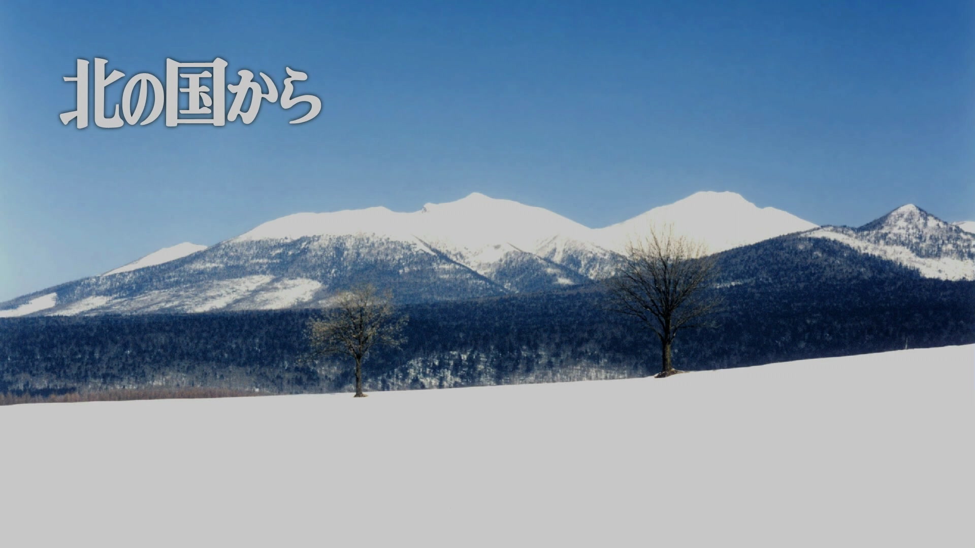 [图]北国之恋4 治愈你的心灵 雪地 雪山 树林 雪花