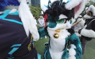 Download Video: [furry日常]贴贴前被尾巴挡住了去路，海鲜龙决定...