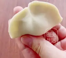 下载视频: 包饺子手法