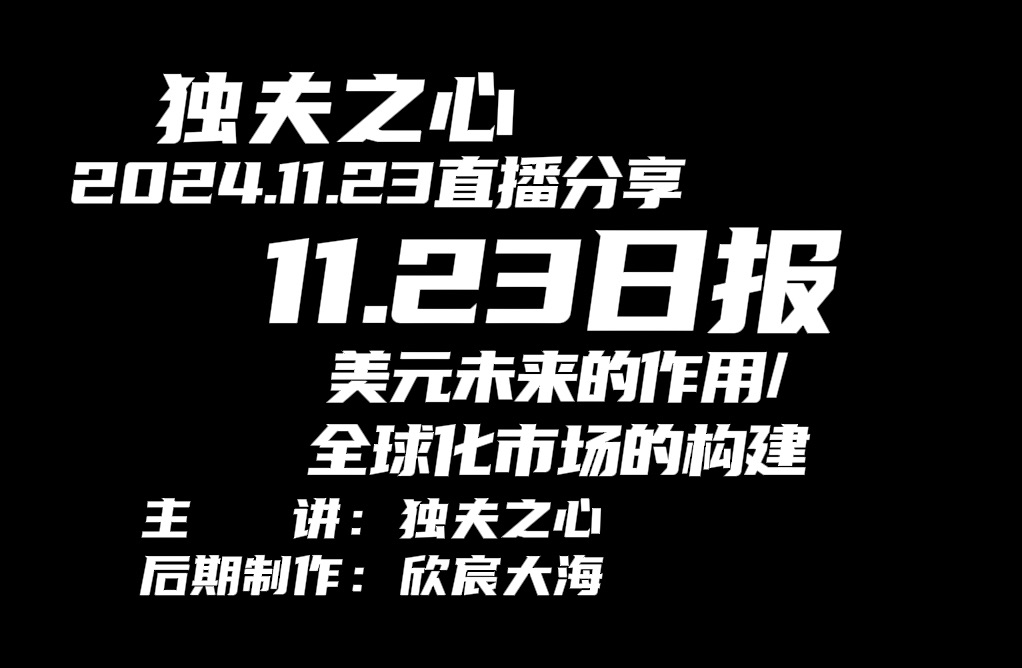 2024.11.23日报(美元未来的作用、全球化市场的构建)哔哩哔哩bilibili