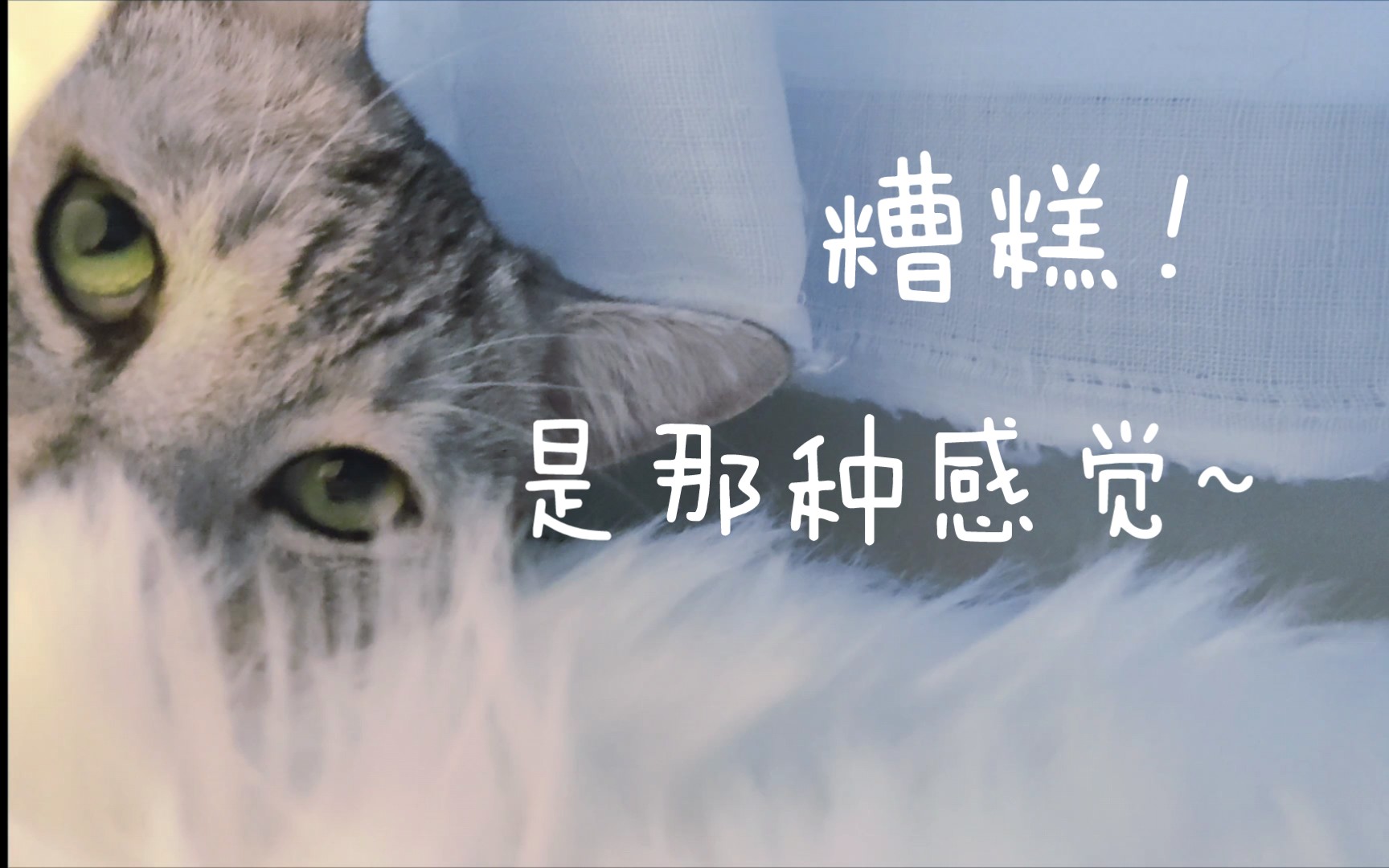 喵喵小甜点:糟糕!是心动的感觉~!