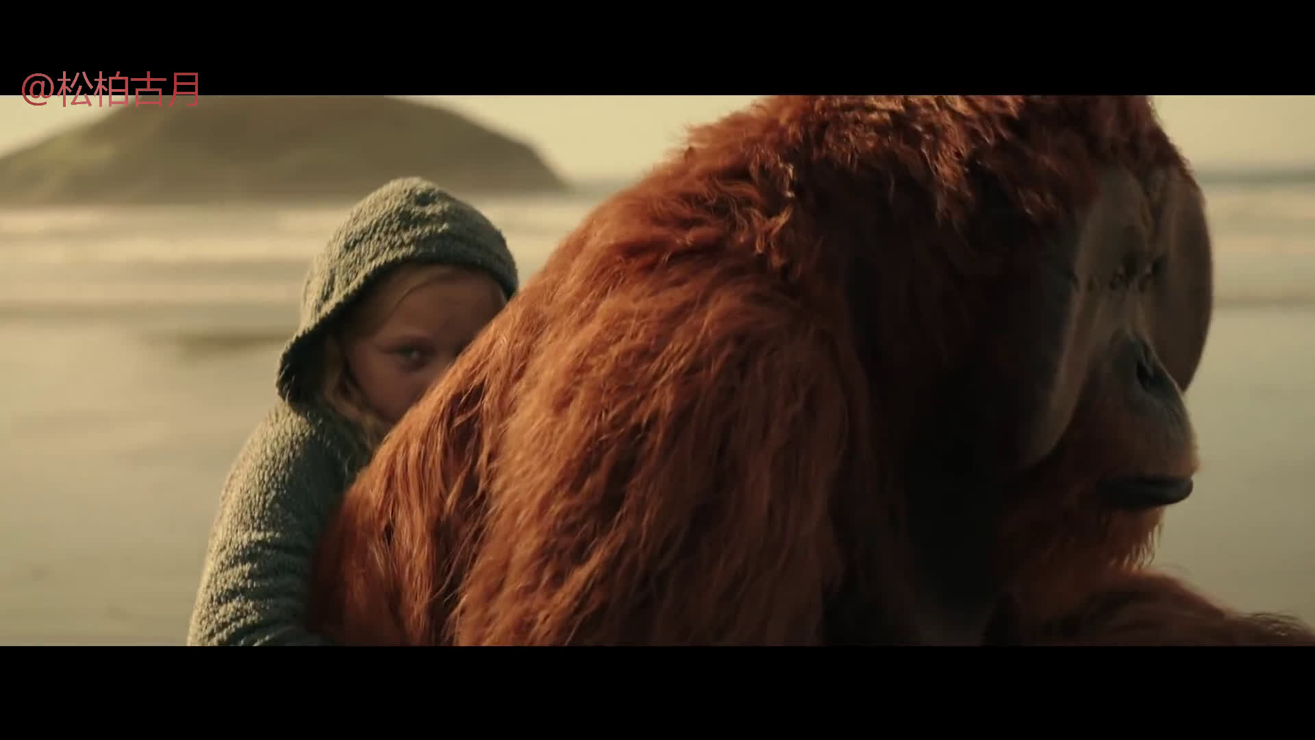 War for the Planet of the Apes Official Trailer 1 (2017)  猩球崛起3猩球之战 官方预告片哔哩哔哩bilibili