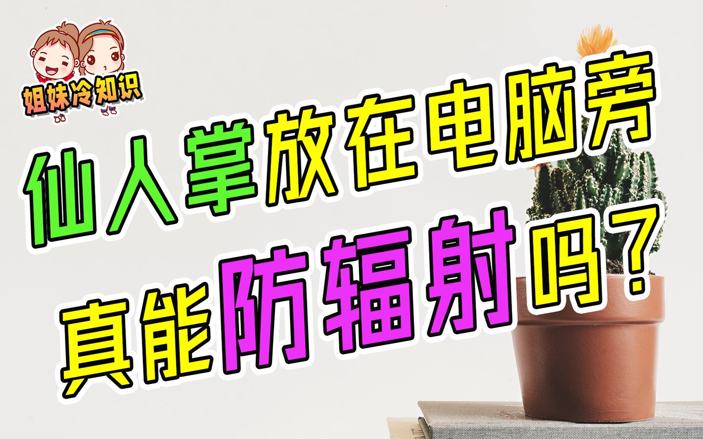 仙人掌放在电脑旁边真的能防辐射吗?让我来告诉你答案!哔哩哔哩bilibili