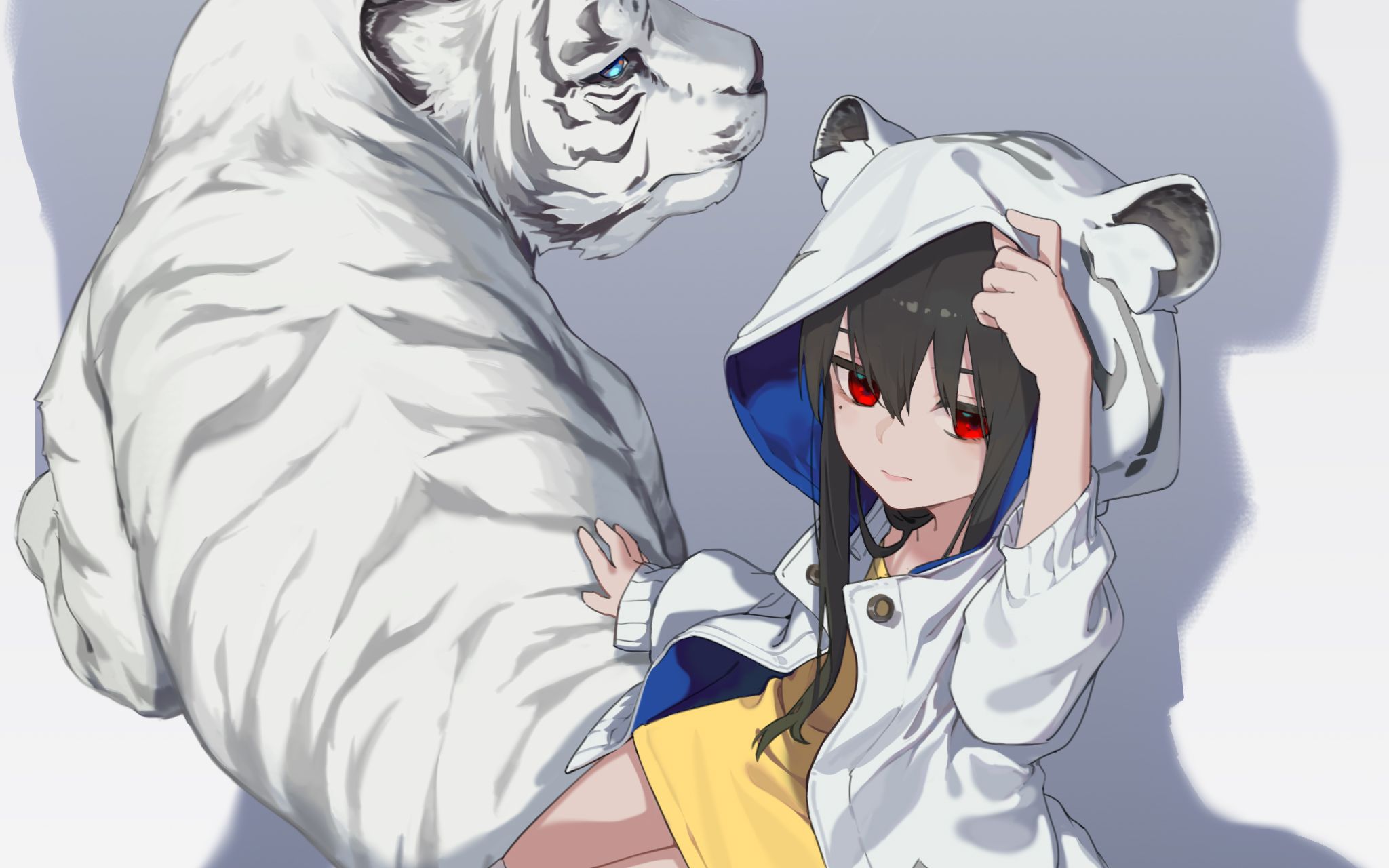 【醒爷生贺】两只老虎_哔哩哔哩_bilibili