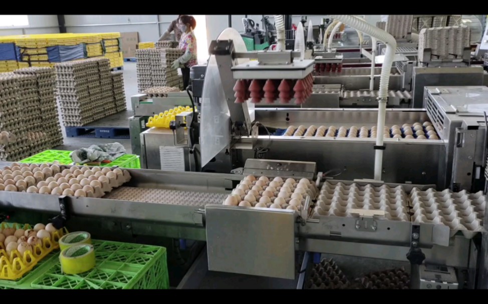 吸盘式分级装托机