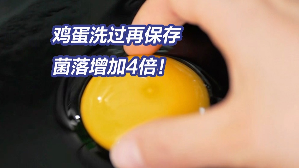 食用清洗后保存的鸡蛋，一家三口中毒！挑选和储存鸡蛋的正确方法