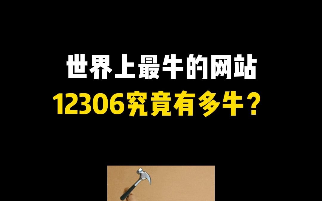 世界上最牛的网站,12306究竟有多牛???哔哩哔哩bilibili