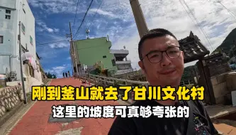 下载视频: 刚到釜山就去了甘川文化村，这个海边小渔村的坡度实在是太夸张了