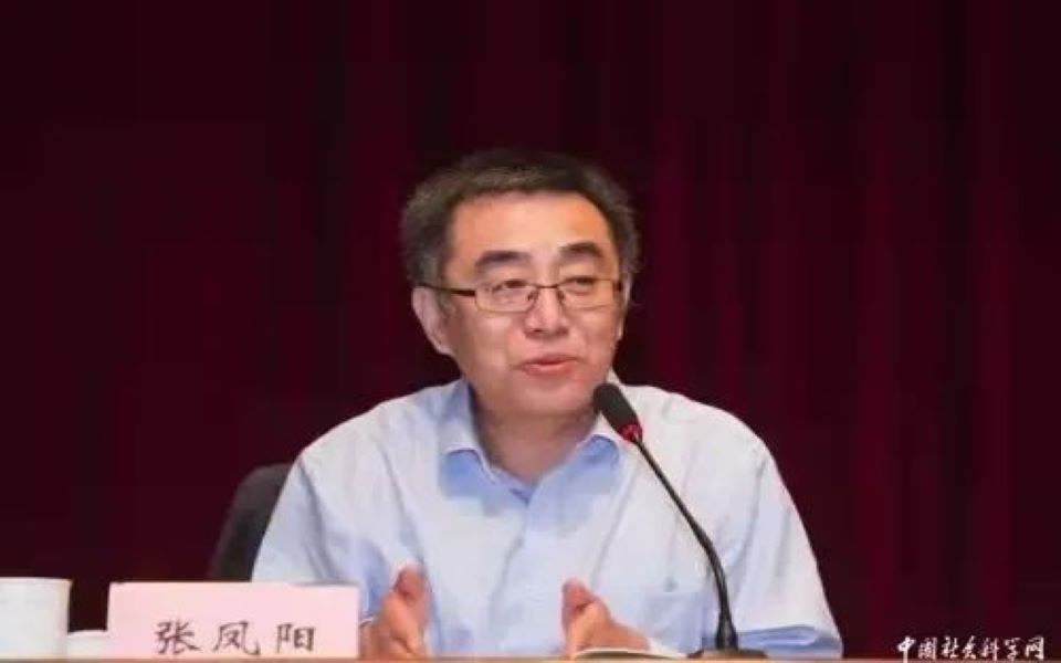 张凤阳:朝向公共生活世界:政治学研究的现象学进路是否必要及如何可能 | 政治学人2021年会哔哩哔哩bilibili