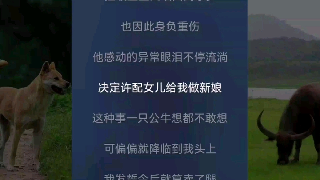 [图]写了一首关于房地产的歌《老牛传》