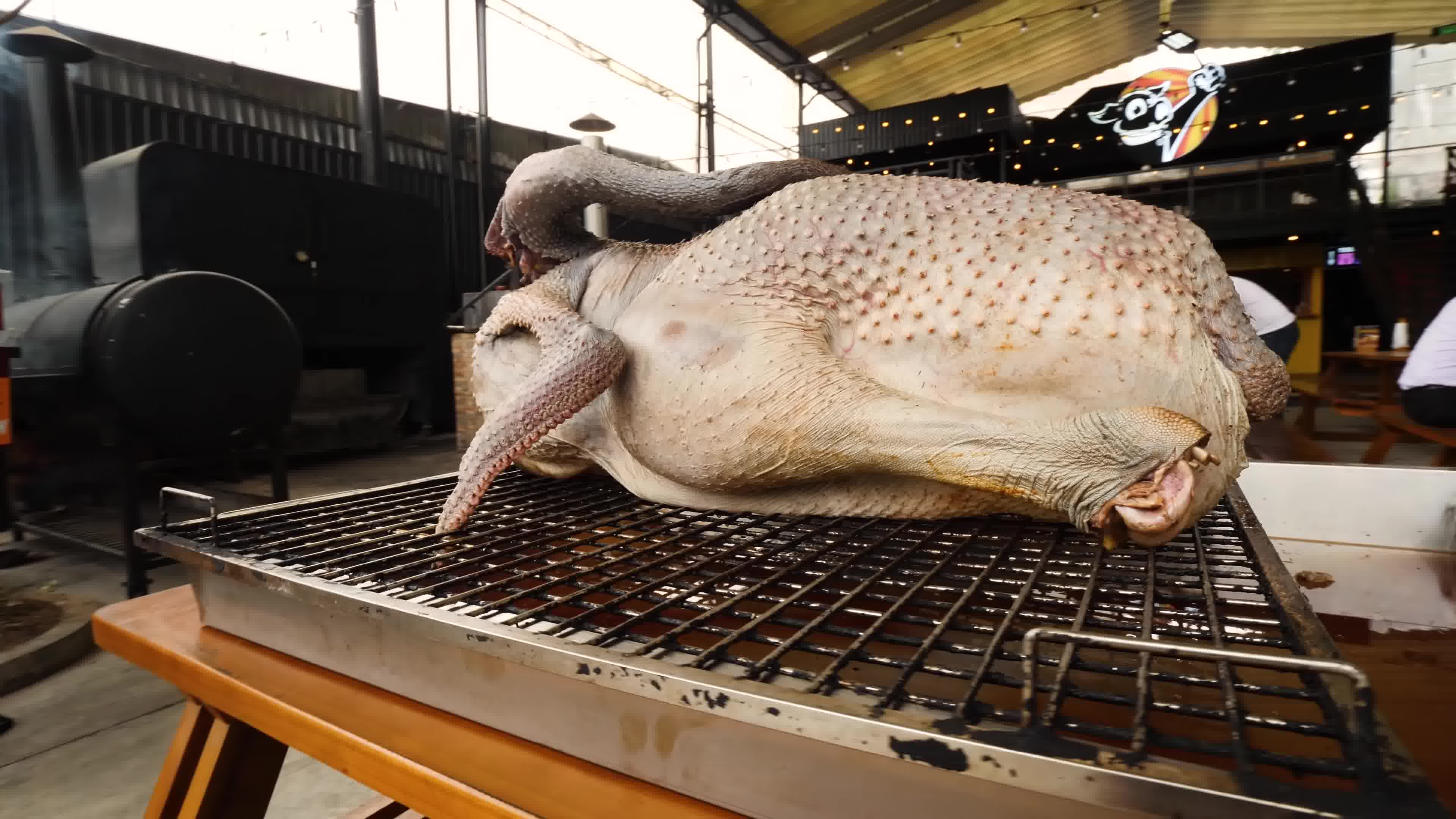 【万物皆可烤】鸵鸟也是鸟,是鸟就能烤