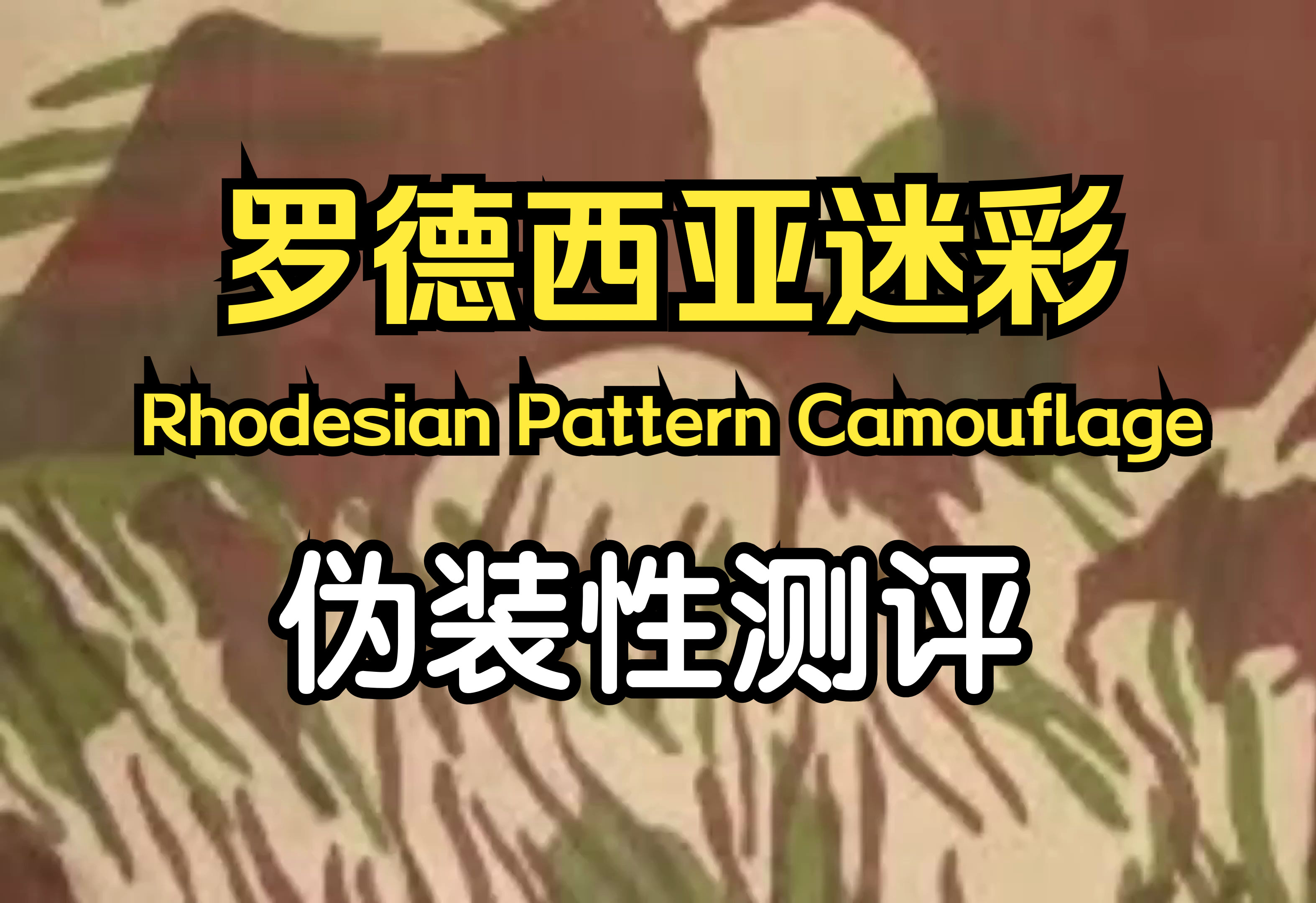 【搬运-迷彩测评】罗德西亚迷彩rhodesian pattern camouflage