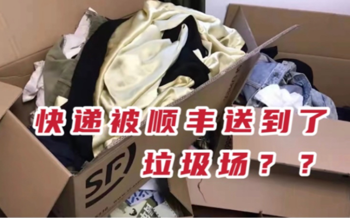 网友诉称12个快递箱被送往垃圾场,顺丰回应:正在处置哔哩哔哩bilibili