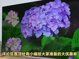 长虹100D8 MAX评测：超越想象，大屏带来的无尽震撼！