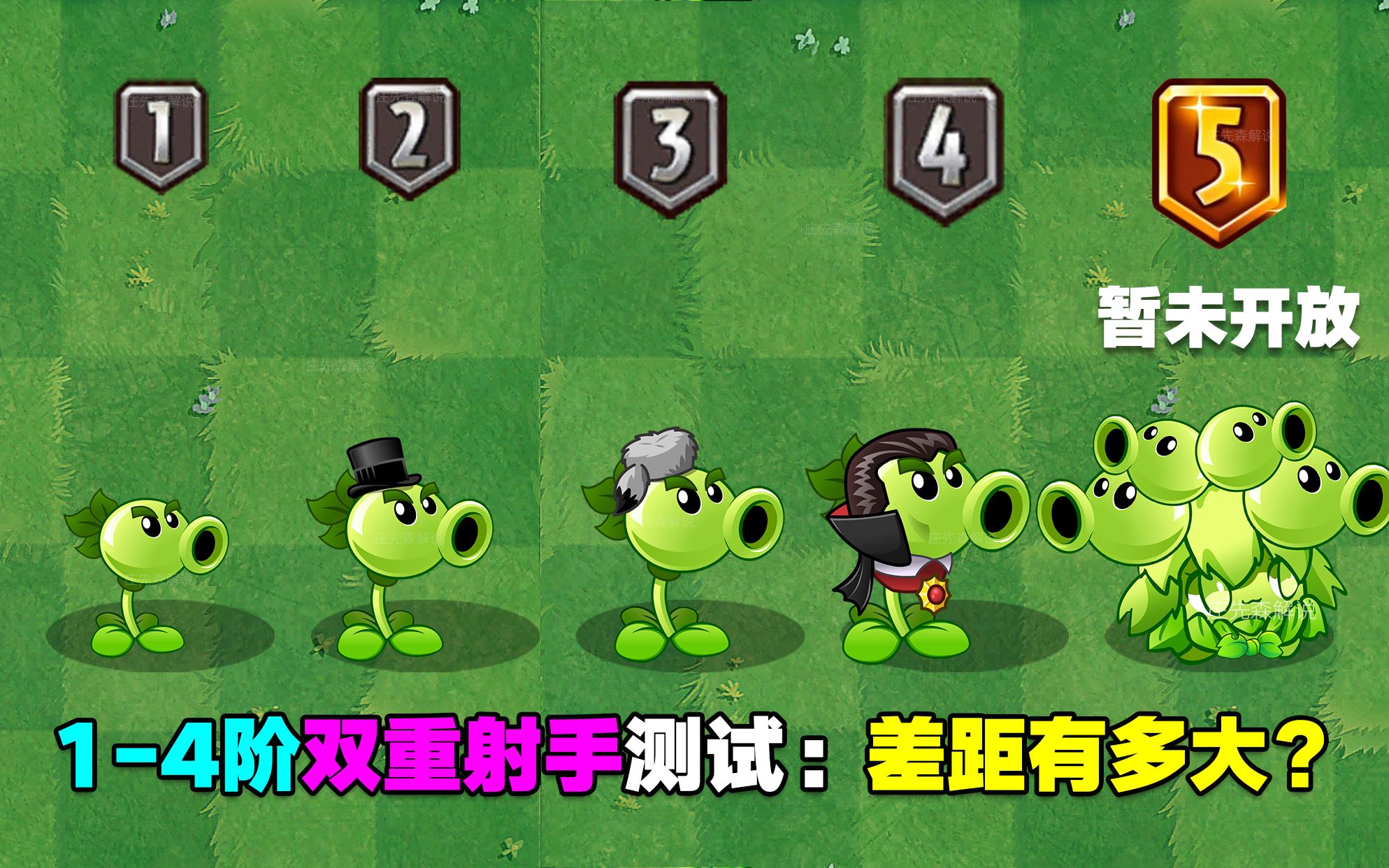 14阶双重射手测评:比较普通,为了提升家族,建议满级!PVZ