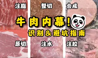 Download Video: 详解！如何避免吃到假牛肉？如何识别注脂、注水、注胶肉？买牛肉再也不会被坑啦！