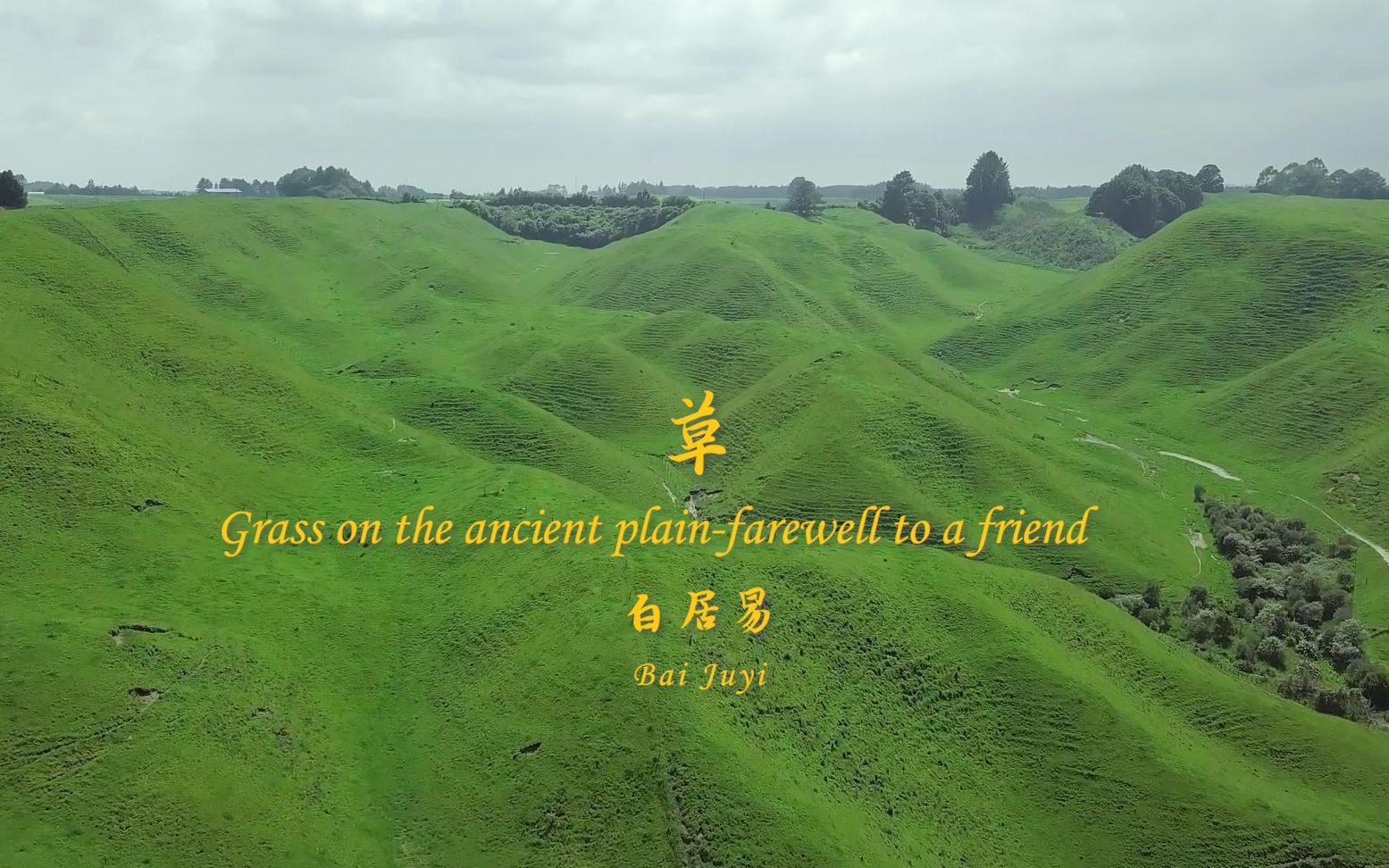 唐诗三百首 白居易 赋得古原草送别 Grass on the ancient plainfarewell to a friend 中英文朗读版 许渊冲译哔哩哔哩bilibili