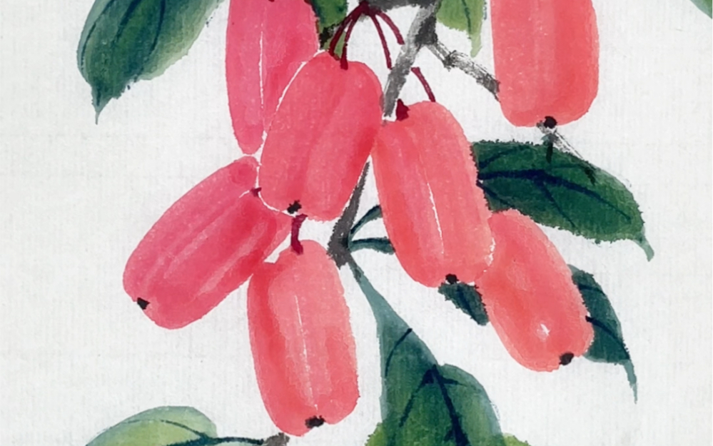 国画|羊奶果(绘画过程)