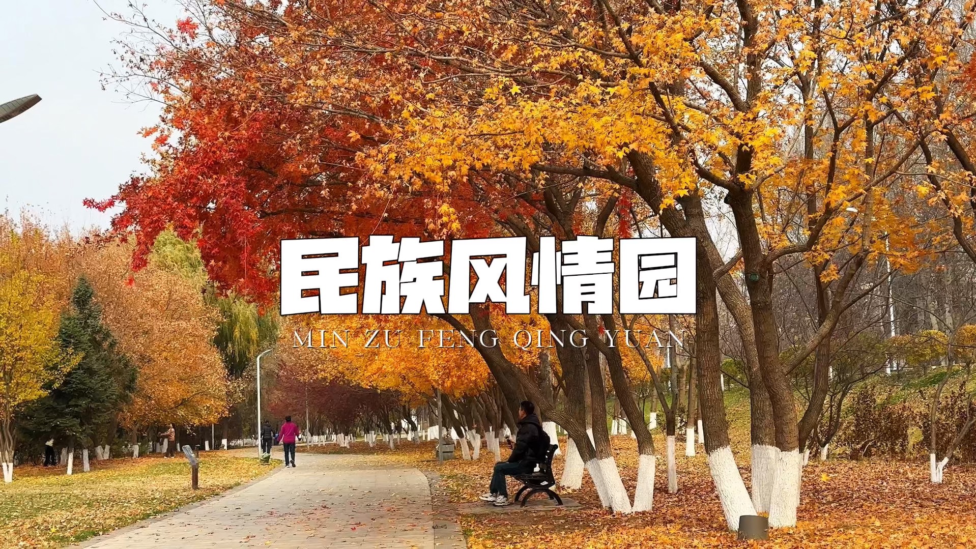 别只顾赶路忽略了身边的风景!哔哩哔哩bilibili