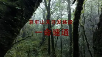 Tải video: 【第一视角】哀牢山14公里未开发路段